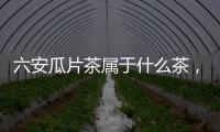 六安瓜片茶屬于什么茶，六安瓜片沖泡方法