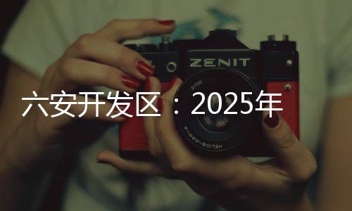 六安開發區：2025年首期“人才夜市”開市