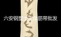 六安鋼塑土工加筋帶批發(fā)價(jià)格