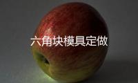 六角塊模具定做