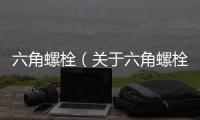 六角螺栓（關(guān)于六角螺栓的基本情況說明介紹）
