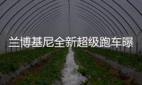 蘭博基尼全新超級跑車曝光 采用混動系統(tǒng)