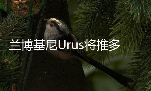 蘭博基尼Urus將推多版本 或2019年問世