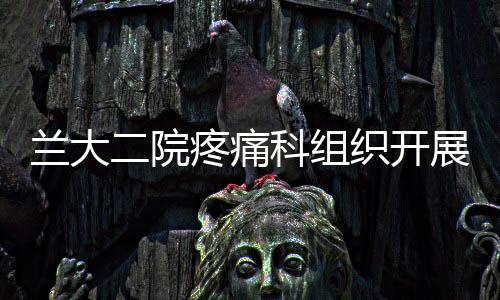 蘭大二院疼痛科組織開展2021年“世界鎮痛日”義診活動