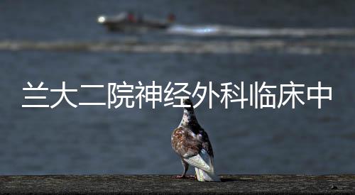 蘭大二院神經(jīng)外科臨床中心成功舉辦第七屆中國(guó)西部神經(jīng)外科大會(huì)