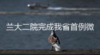 蘭大二院完成我省首例微創小切口二次瓣膜成形手術