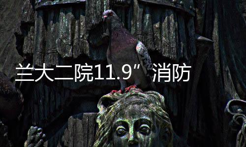 蘭大二院11.9”消防日舉行消防急救演練