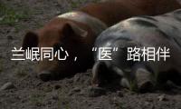 蘭岷同心，“醫(yī)”路相伴——蘭大二院幫扶岷縣人民醫(yī)院醫(yī)療隊工作紀實