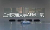蘭州交通大學AEM：氧空位和異質結對MoO3