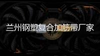 蘭州鋼塑復(fù)合加筋帶廠家采購(gòu)供應(yīng)