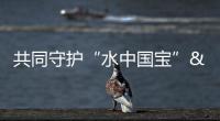 共同守護“水中國寶” 20萬尾中華鱘分批放歸長江