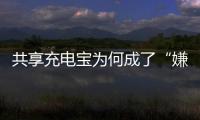共享充電寶為何成了“嫌棄包”? 為何出現這一現象？？