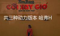 共三種動(dòng)力版本 哈弗H4燃油消耗信息披露