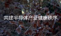共建半導體產業健康秩序，豈可只重“功利”輕視“規則”