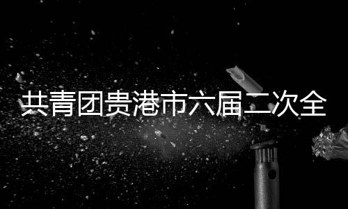 共青團(tuán)貴港市六屆二次全委（擴(kuò)大）會(huì)議召開