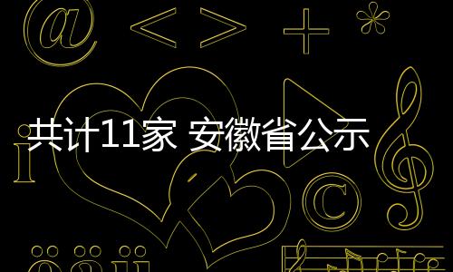 共計(jì)11家 安徽省公示第二批產(chǎn)業(yè)創(chuàng)新研究院擬立項(xiàng)名單