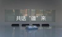 共話“疆”來