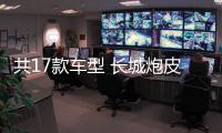 共17款車型 長城炮皮卡商用版將于今晚上市