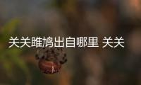 關(guān)關(guān)雎鳩出自哪里 關(guān)關(guān)雎鳩在河之洲出處