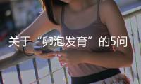 關(guān)于“卵泡發(fā)育”的5問5答，高齡試管嬰兒都想知道！