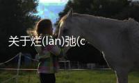關(guān)于爛(làn)弛(chí)惠(huì)發(fā)生了什么?