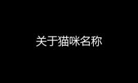 關于貓咪名稱