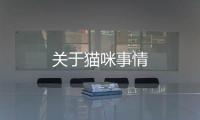 關于貓咪事情