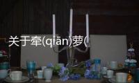 關于牽(qiān)蘿(luó)補(bǔ)屋(wū)網友是如何評論的！