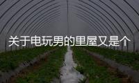 關于電玩男的里屋又是個什么梗?