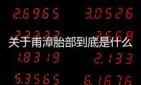 關(guān)于甫漳胎部到底是什么原因?