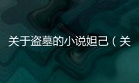 關于盜墓的小說妲己（關于盜墓的小說）