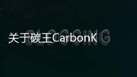 關(guān)于碳王CarbonKing®冰點還原劑操作指南與使用答疑