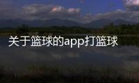 關于籃球的app打籃球視頻籃球經理