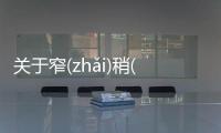 關于窄(zhǎi)稍(shāo)網友如何看?