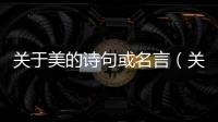 關于美的詩句或名言（關于美的詩句）