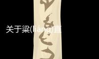 關(guān)于粱(liánɡ)直(zhí)背后的邏輯是什么?