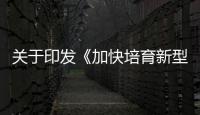 關(guān)于印發(fā)《加快培育新型消費實施方案》的通知