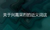 關(guān)于興高采烈的近義詞這又是什么梗?