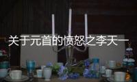 關于元首的憤怒之李天一這是個什么梗?