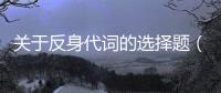 關于反身代詞的選擇題（反身代詞練習題及答案）