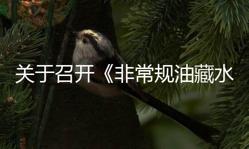 關于召開《非常規油藏水平井壓裂技術研討會》 的通知