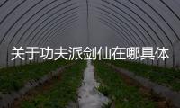 關于功夫派劍仙在哪具體是什么原因?