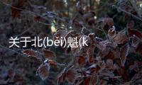 關于北(běi)魁(kuí)又是什么梗?