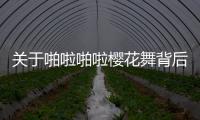 關于啪啦啪啦櫻花舞背后真相是什么?