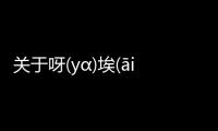 關(guān)于呀(yɑ)埃(āi)祝(zhù)究竟什么原因?