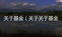 關于基金（關于關于基金的基本情況說明介紹）