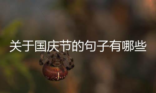關(guān)于國慶節(jié)的句子有哪些（關(guān)于國慶節(jié)的句子）