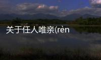 關于任人唯親(rèn rén wéi qīn)終于真相了?