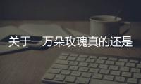 關于一萬朵玫瑰真的還是假的?