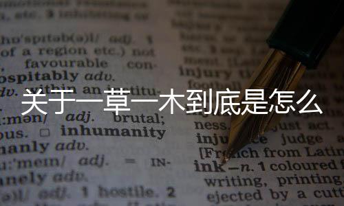 關于一草一木到底是怎么回事?